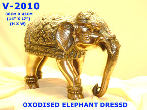 V 2010 ELEPHANT RAJISTANI DECORATED         